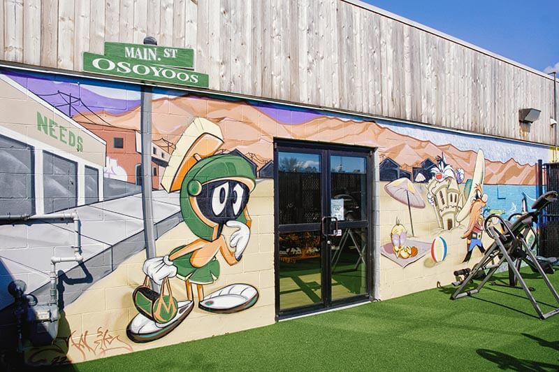 Needs Gym mural outdoor area